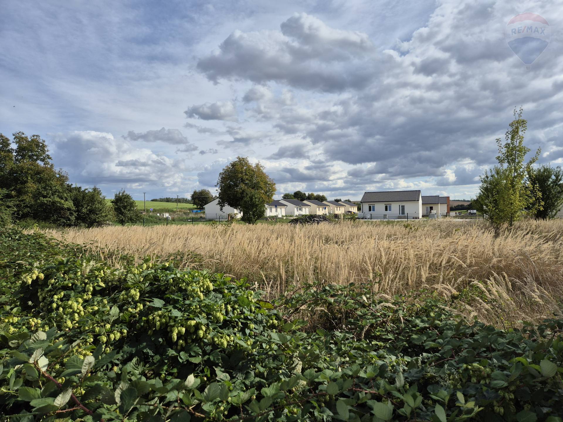 Predaj pozemku 2452 m2, Paňa  -