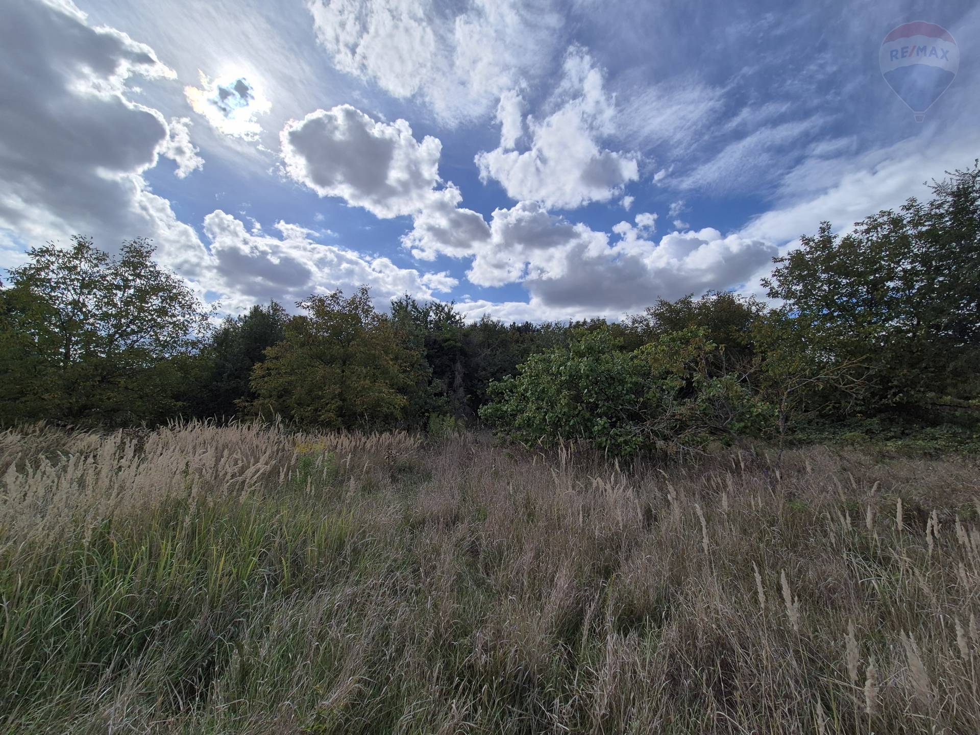 Predaj pozemku 2452 m2, Paňa  -