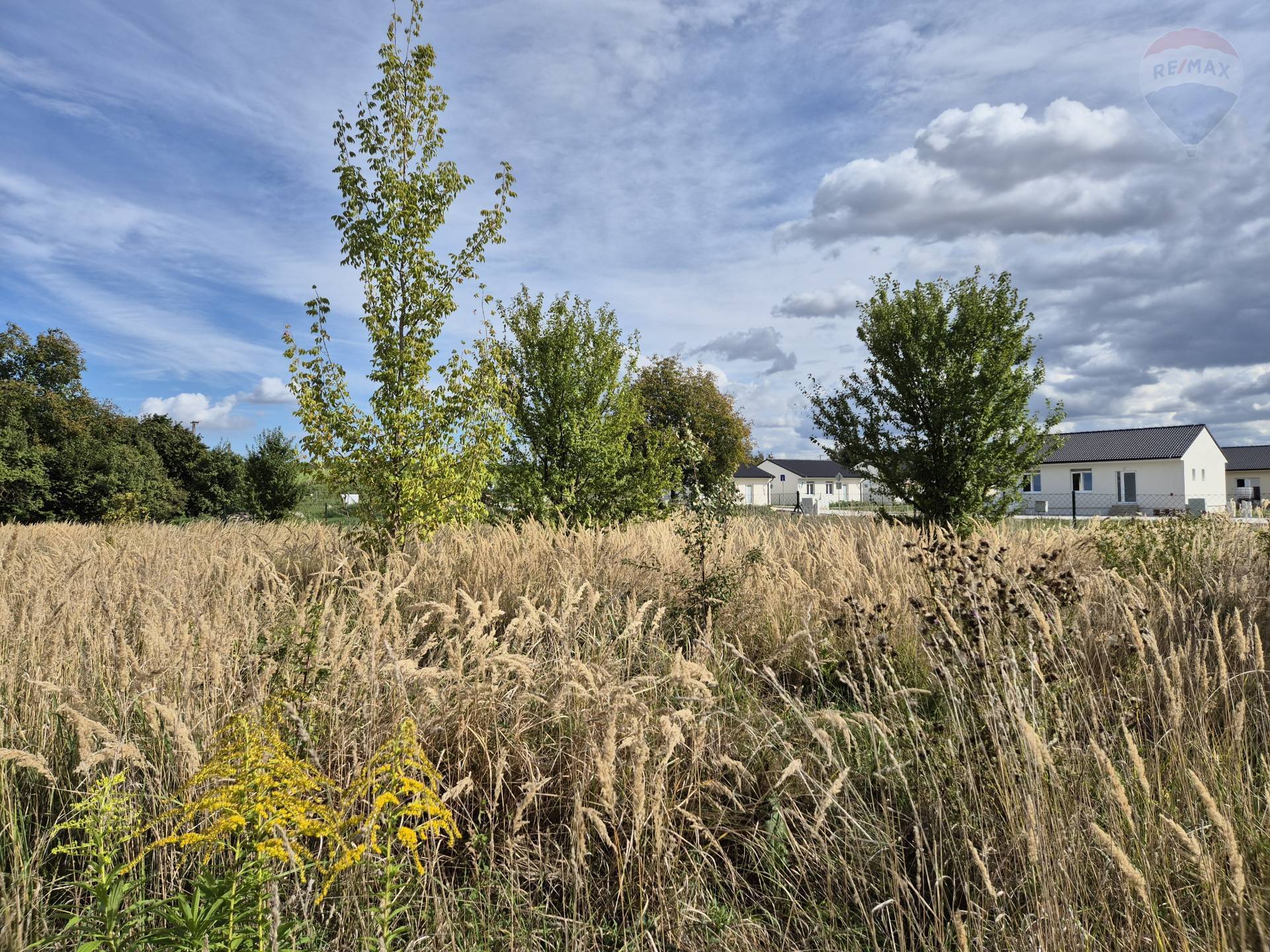 Predaj pozemku 2452 m2, Paňa  -