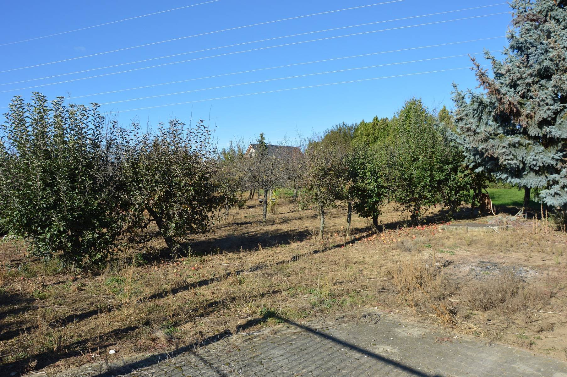 Predaj pozemku 983 m2, Nitra  -