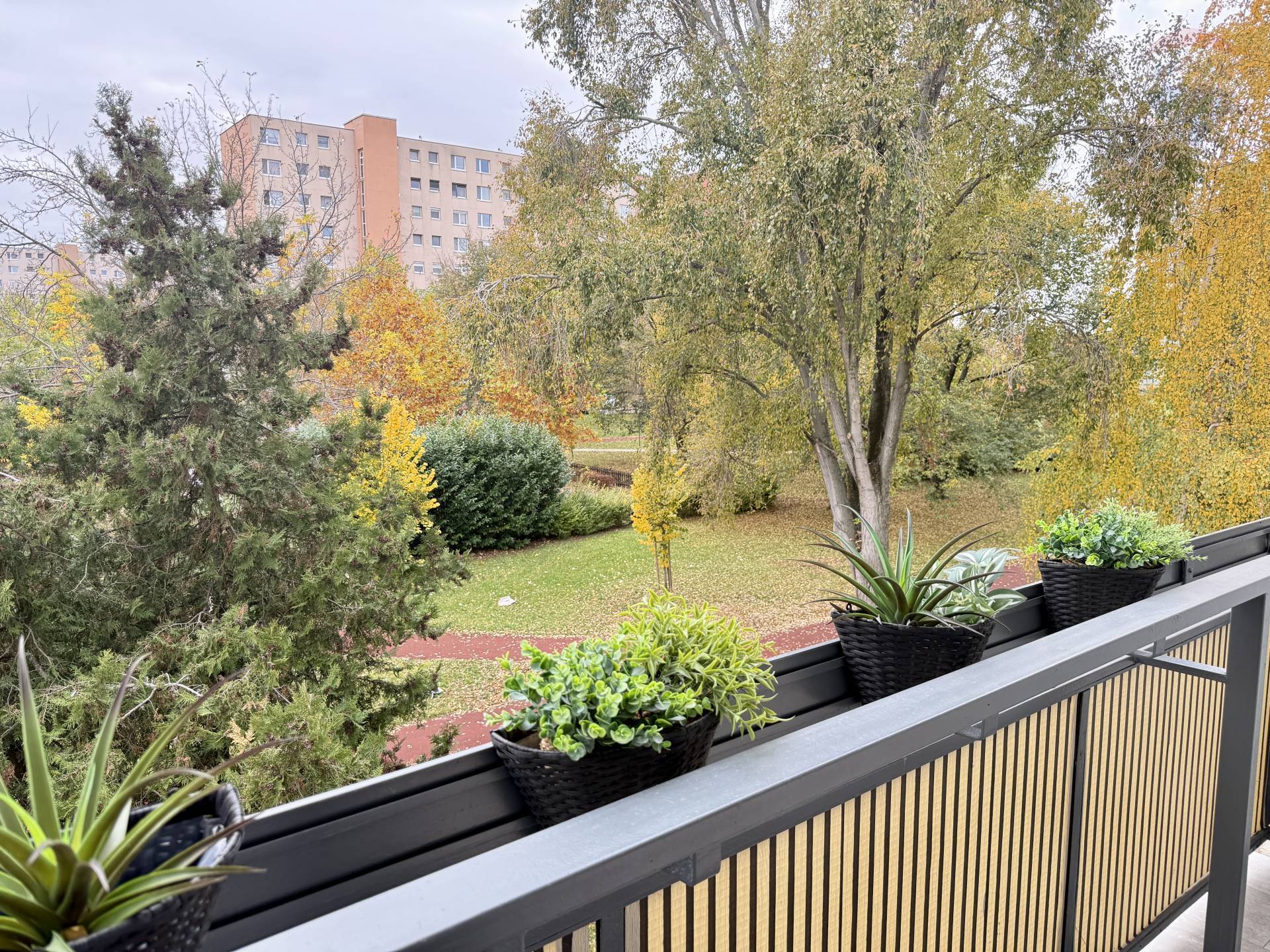 Prenájom bytu (3 izbový) 66 m2, Dunajská Streda  -