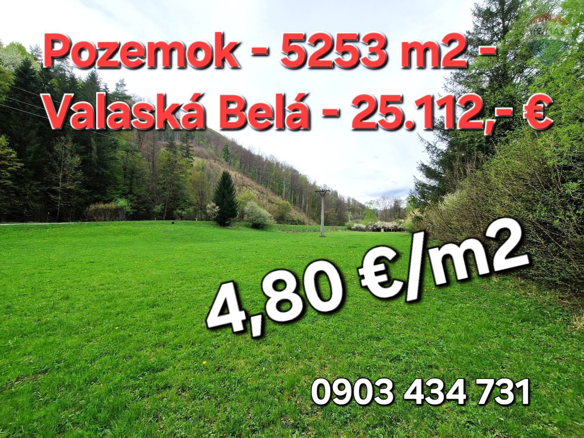 Predaj pozemku 5253 m2, Valaská Belá  -