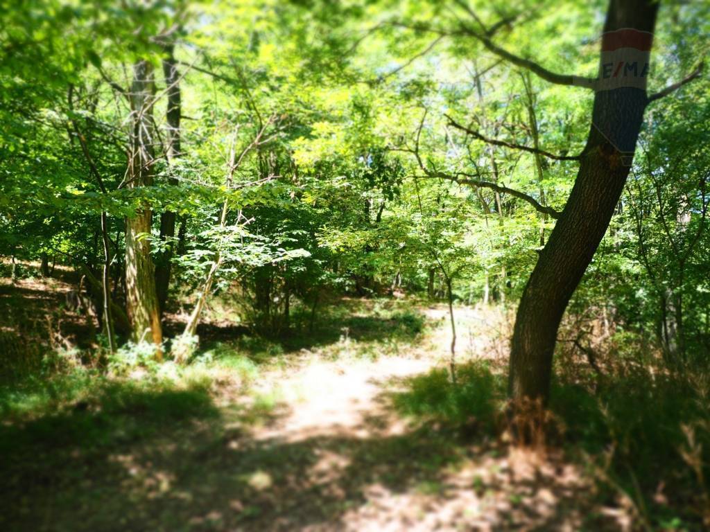 NA PREDAJ: Pozemok (rekreačný) 1000m2, ulica Stará Stupavská, BA III - Rača