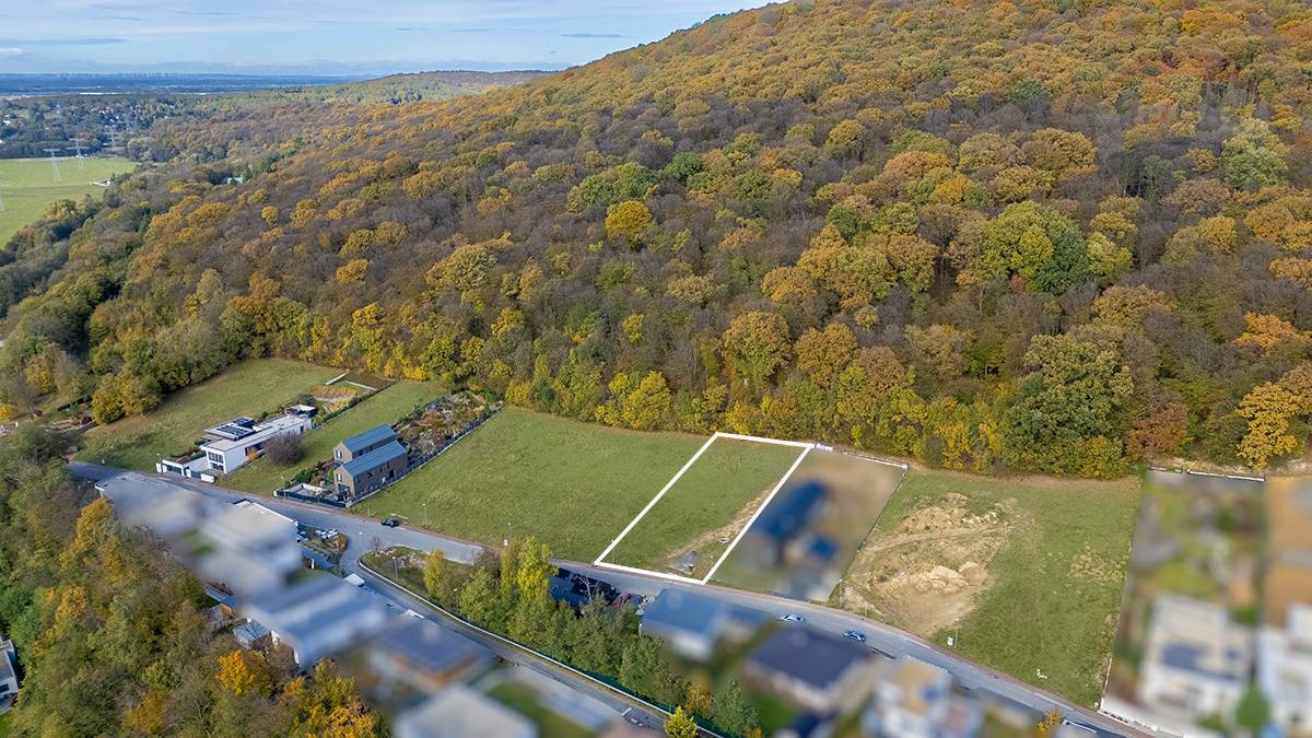 Predaj pozemku 2038 m2, Borinka -