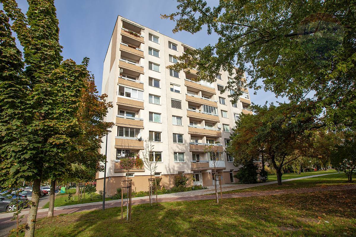 Na prenájom 3-izbový byt v Malackách