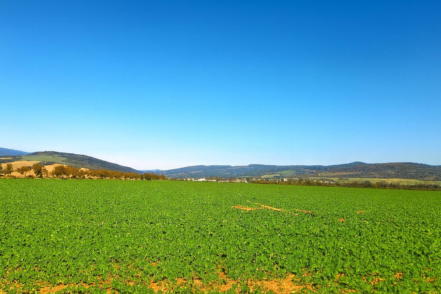 Investičný pozemok 17 000m2