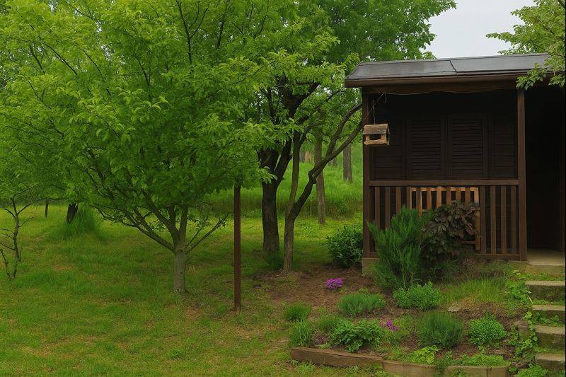 Záhrada v Novom Meste nad Váhom